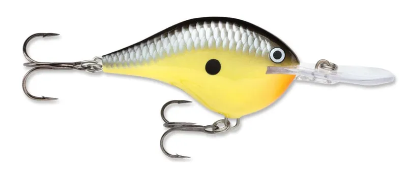 Old School, Rapala