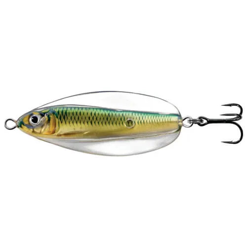 Erratic Shiner Casting Cuchara Gold/Green, LiveTarget