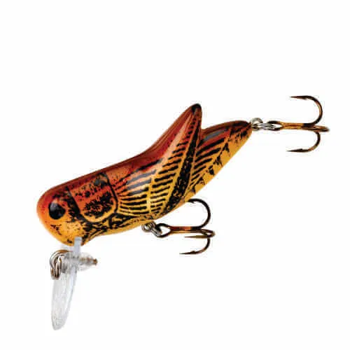 Rebel Bighopper – Cricket marrón