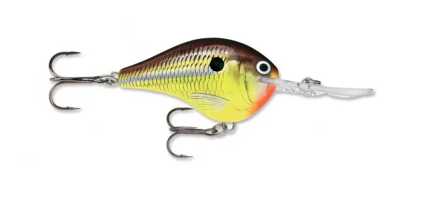 Mostaza Picante, Rapala