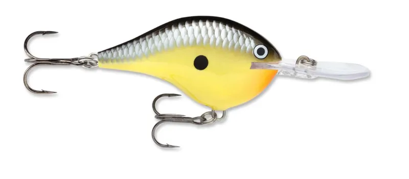 Old School, Rapala
