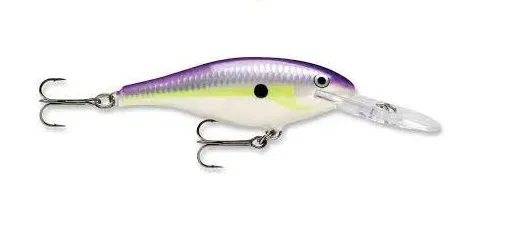 SÁBADO REGAL, Rapala