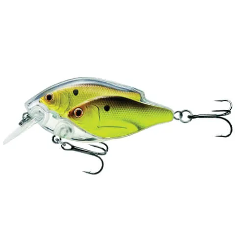 Threadfin Shad Squarebill, LiveTarget